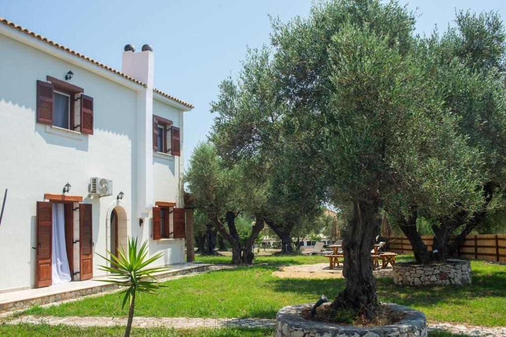 Oliva - Ideal For Families Close To Ferienhaus Zakynthos